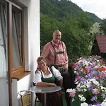 Haus Moser Wörschach