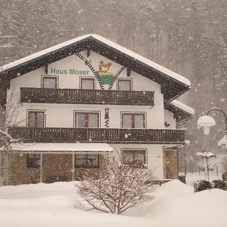 Haus Moser *