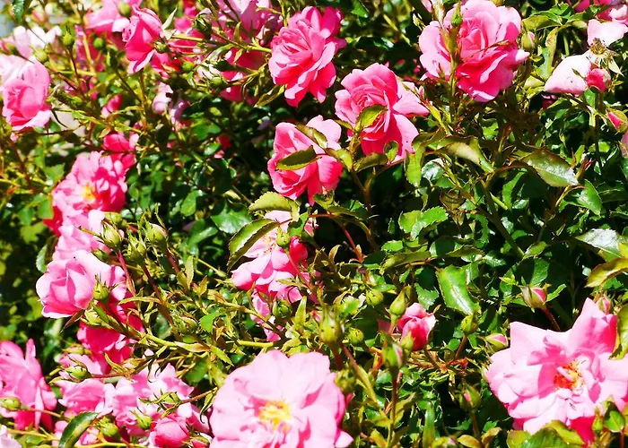 Haus Moser Privatunterkunft